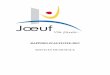 RAPPORT D’ACTIVITE 2017 - Ville de Joeuf