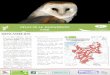 Atlas de la biodiversité N 7 Infos 2019