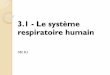 3.2 - Le système respiratoire humain - Weebly
