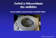 ZoNeCo Microchimie des otolithes