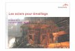 specific authorization of ArcelorMittal Les aciers pour 