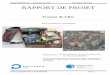 Projet IMA4-SC : Traceur de choc Kemajou-Hossie RAPPORT DE 