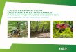 Les objectifs et les concepts utilisés - INVENTAIRE FORESTIER