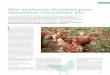 Des systèmes durables pour dynamiser l’aviculture bio