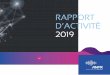RAPPORT D’ACTIVITÉ 2019 - ANFR
