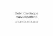 Débit Cardiaque Valvulopathies - L2 BICHAT 2018-2019