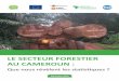 LE SECTEUR FORESTIER AU CAMEROUN - Centre pour l 