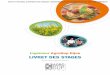 Livret stages 2021 2022 nov2021 - applis.agrosupdijon.fr
