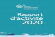 ANTENNE DE LA REUNION Rapport d activité 2020