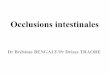 Occlusions intestinales