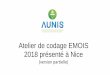 Atelier de codage EMOIS 2018 présenté à Nice