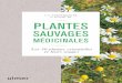 PLANTES - interforum.fr