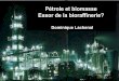 Pétrole et biomasse Essor de la bioraffinerie?