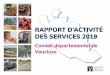 RAPPORT D’ACTIVITÉ DES SERVICES 2019