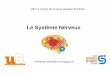 Le Système Nerveux - IFSI DIJON