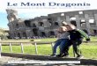 Le Mont Dragonis - cities.reseaudesvilles.fr