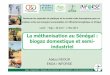 La méthanisation au Sénégal : biogaz domestique et semi 