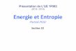 (2018 - 2019) EnergieetEntropie’