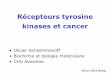 Récepteurs tyrosine kinases et cancer - Cours de l'UE7 à 