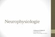 Neurophysiologie - 82.223.17.247
