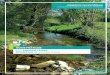 Adaptons nos pratiques à la préservation de nos rivières