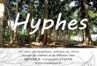 Hyphes - artzimut.info