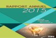RAPPORT ANNUEL 2015 - NSC Groupe