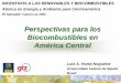 Perspectivas para los Biocombustibles en América Central