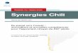 Synergies Chili Nº 16 / 2020